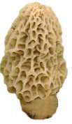460>_826499